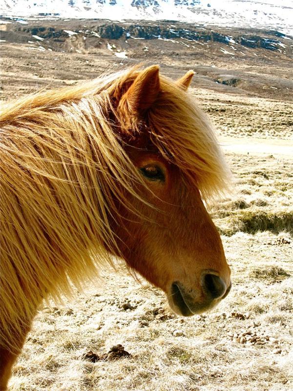 Solvanes Farmholidays Вармаглід Екстер'єр фото